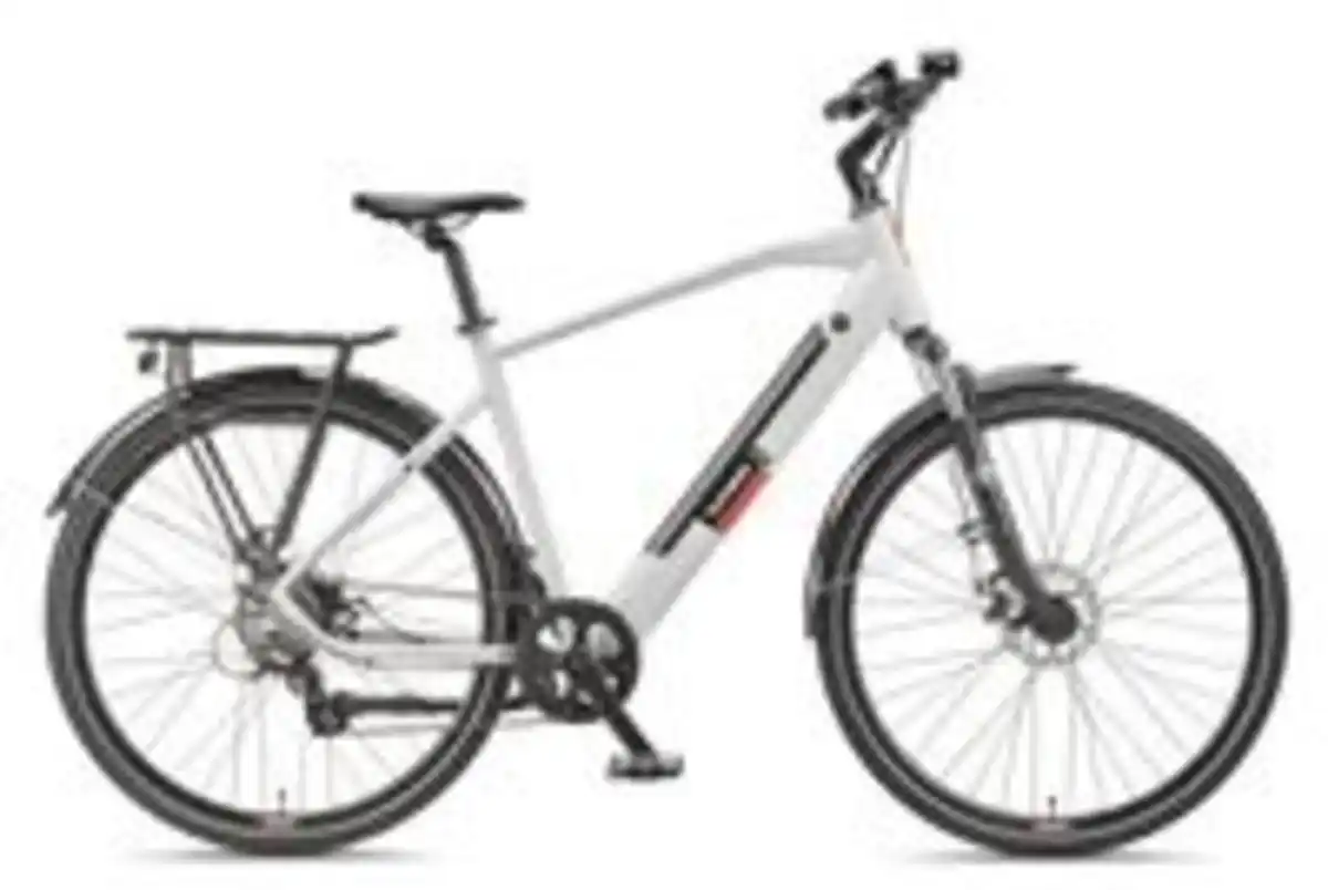 Bild 2 von Expedition XT490 Trekking E-Bike Herren (250 W, 36 V) - Kreide