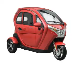 3 Rad Kabinenroller 25 km/h oder 45 km/h 2000W