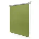 Bild 1 von Lichtblick Rollo, ‎Thermo, ‎‎Klemmfix, 60x200 cm‎‎‎, grün