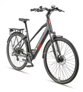 Telefunken Damen Trekking E-Bike XT490 mit 8-Gang Shimano Kettenschaltung, Granitgrau