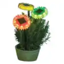 Bild 1 von Solarstecker