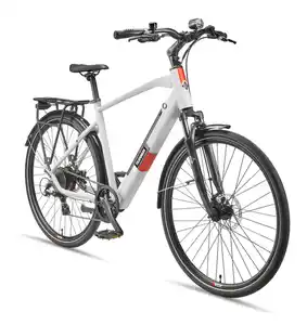 Expedition XT490 Trekking E-Bike Herren (250 W, 36 V) - Kreide