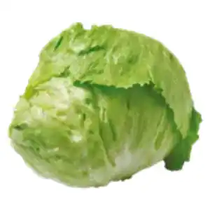 GO Regio Eisbergsalat