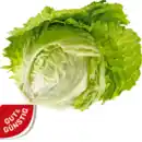 Bild 1 von Eisbergsalat