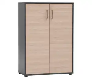 Aktenschrank »Metz«, 2-türig, anthrazit/canello