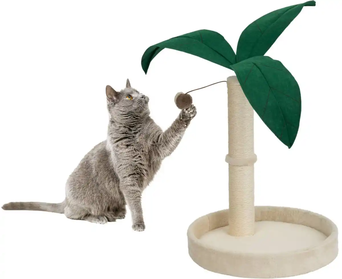 Bild 1 von ZOOFARI® Kratzbaum »Palme«