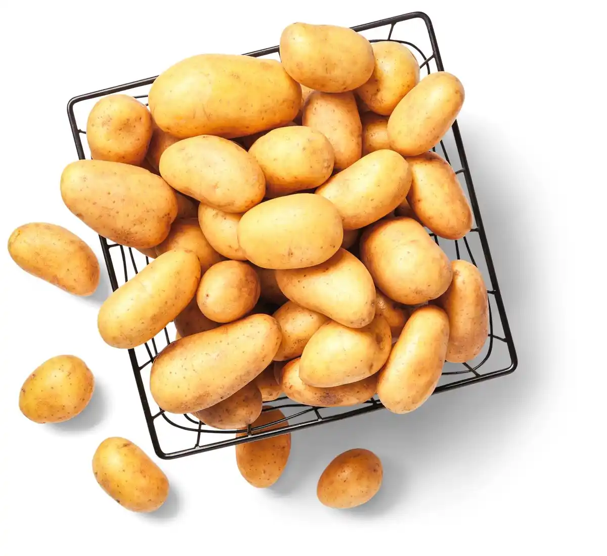 Bild 1 von Dtsch./franz. kleine Speisekartoffeln, 1-kg-Schale