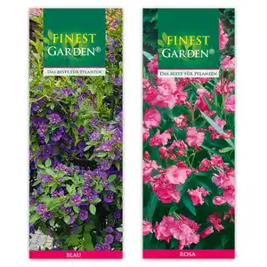 Finest Garden Sommerliche Blühpflanzen