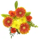 Bild 1 von Mixstrauß