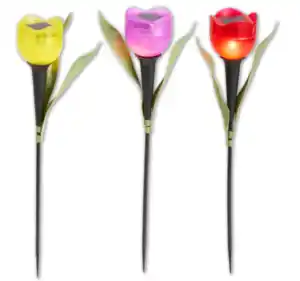 Solarstecker TULPE*