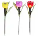 Bild 1 von Solarstecker TULPE*