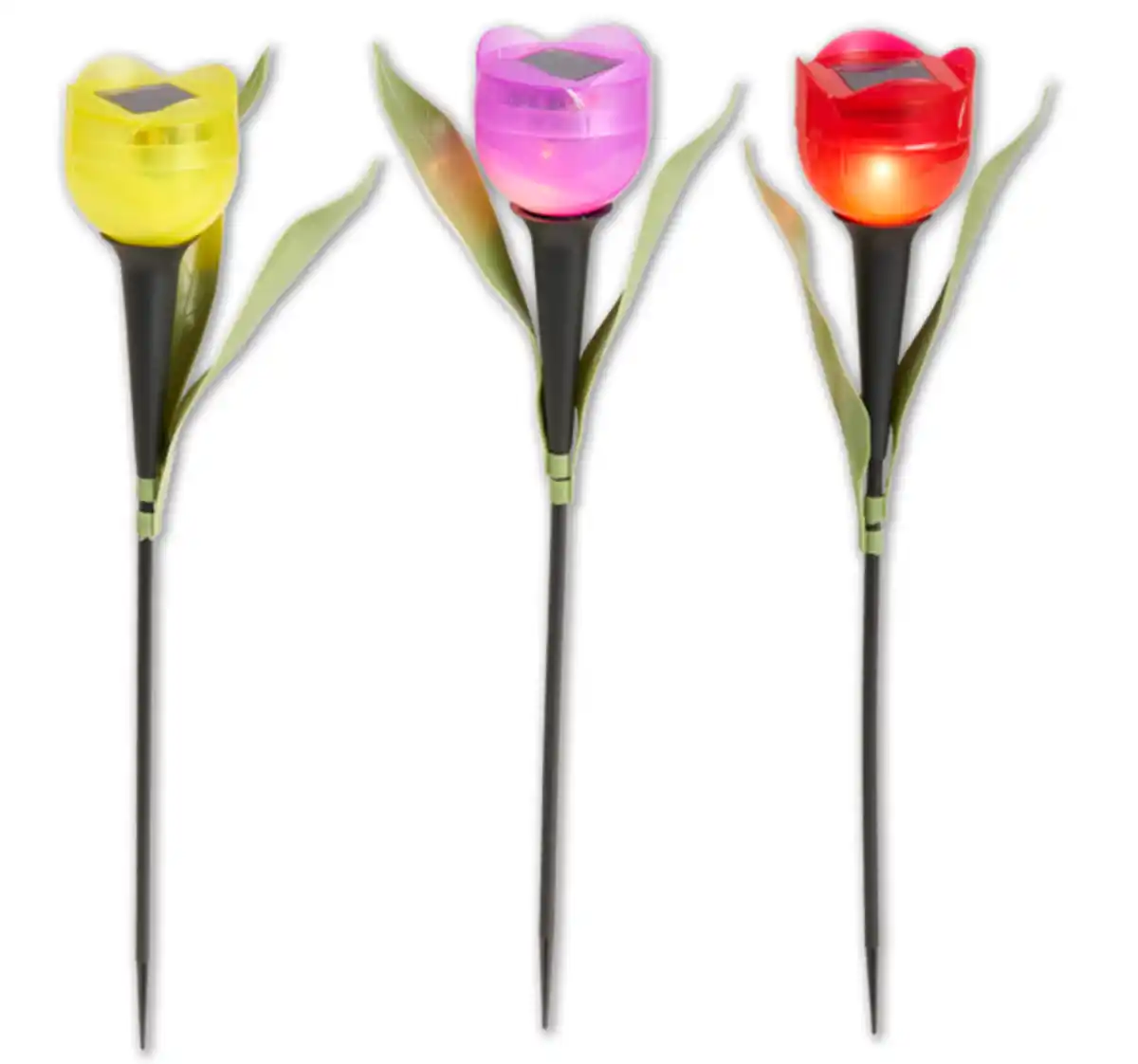 Bild 1 von Solarstecker TULPE*