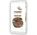 Bild 1 von Piniendekor