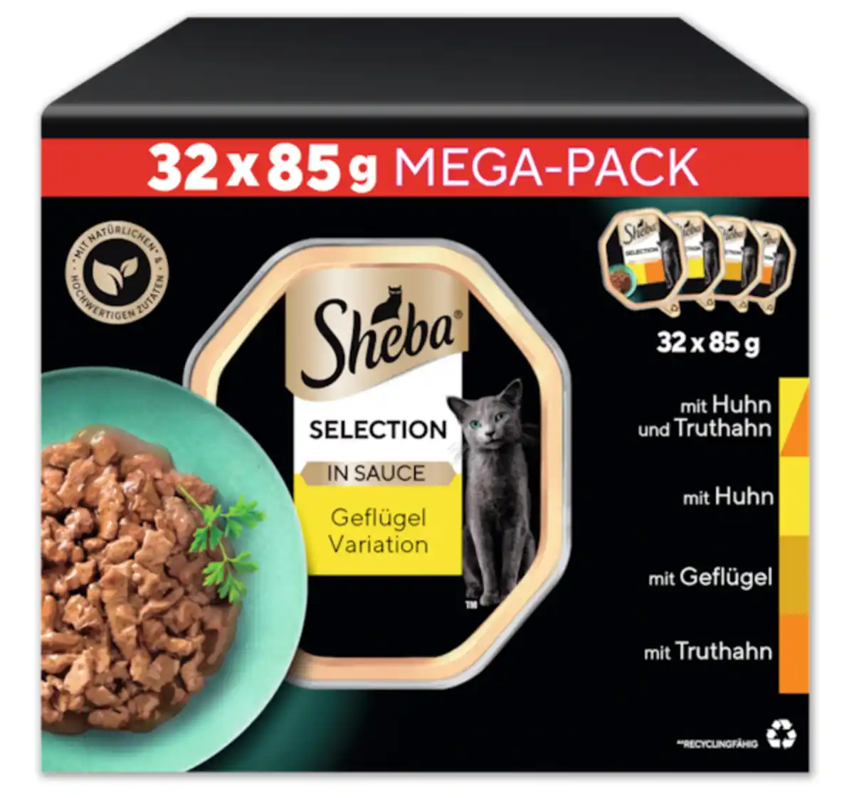 Bild 1 von SHEBA Selection*