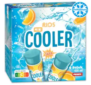 RIOS Mini Cooler sauer