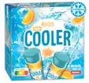 Bild 1 von RIOS Mini Cooler sauer