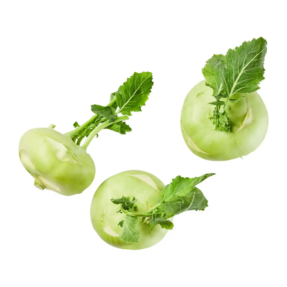 Bild 1 von Kohlrabi