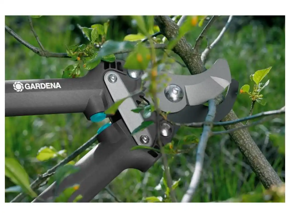 Bild 3 von Gardena Astschere »500 BL«
