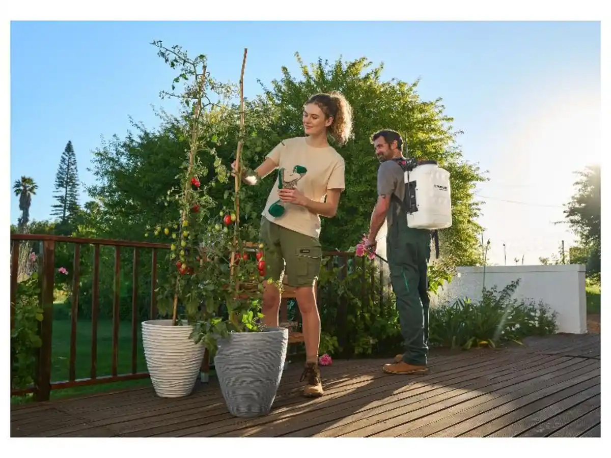 Bild 2 von PARKSIDE® Bindezangen-Starterset