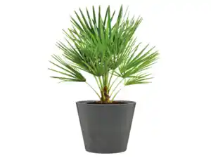 SCHEURICH Outdoor-Pflanzgefäß
