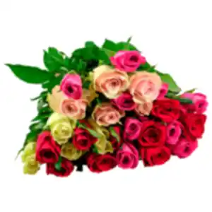 Fairtrade Rosen