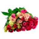 Bild 1 von Fairtrade Rosen