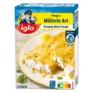 iglo MSC Filegro