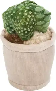 IDEENWELT Pflanzenplüsch Kaktus mit Blume