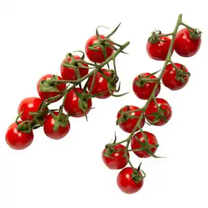 BESTES AUS DER REGION Roma-Cocktailrispentomaten 300 g