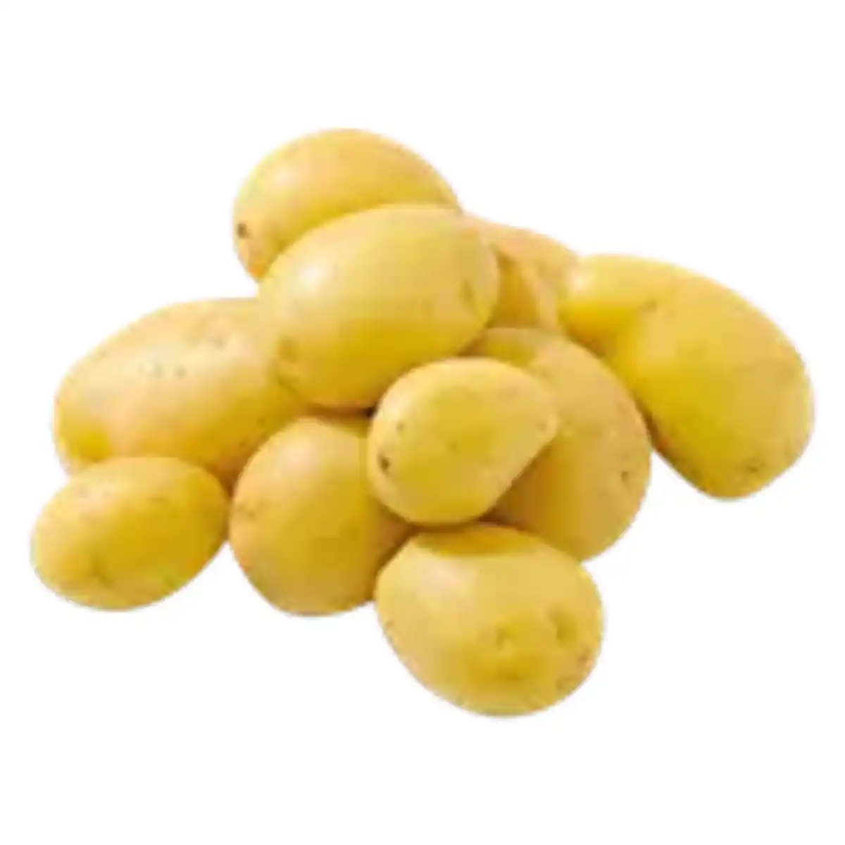Bild 1 von Speisefrühkartoffeln