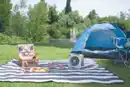 Bild 2 von Solarventilator Camping Grau