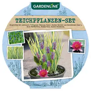 GARDENLINE Mini-Teich, rot