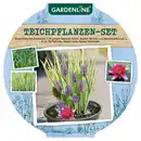 Bild 1 von GARDENLINE Mini-Teich, rot