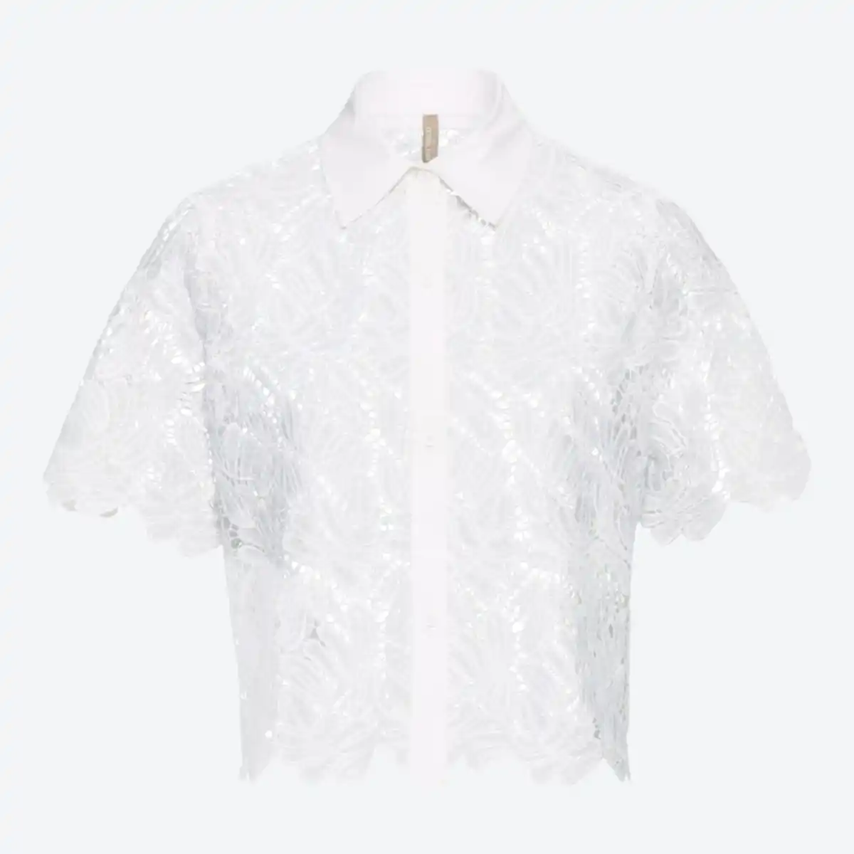 Bild 2 von Damen-Bluse mit Hemdkragen
