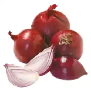 GO Regio Zwiebeln rot