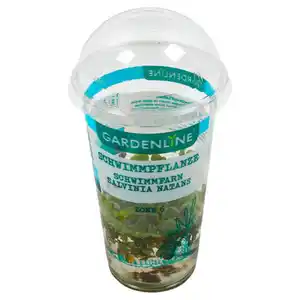 GARDENLINE Schwimmpflanzen, Schwimmfarn