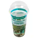 Bild 1 von GARDENLINE Schwimmpflanzen, Schwimmfarn