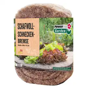 Schneckenbremse