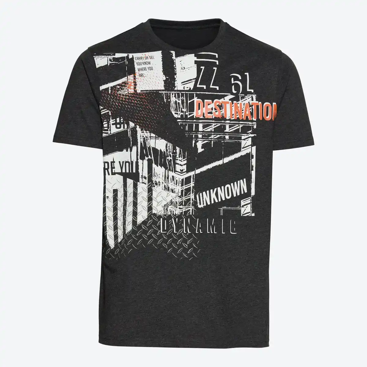 Bild 1 von Herren-T-Shirt mit Rundhalsausschnitt