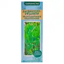 Bild 1 von GARDENLINE Sauerstoffpflanzen, Graspflanze