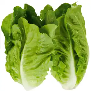 Mini Romanasalat