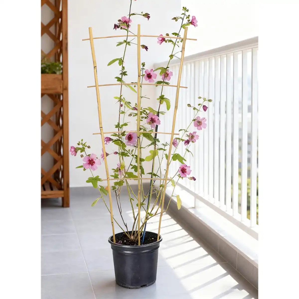 Bild 1 von Powertec Garden Bambusstütze