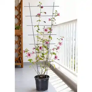 Powertec Garden Drahtstütze