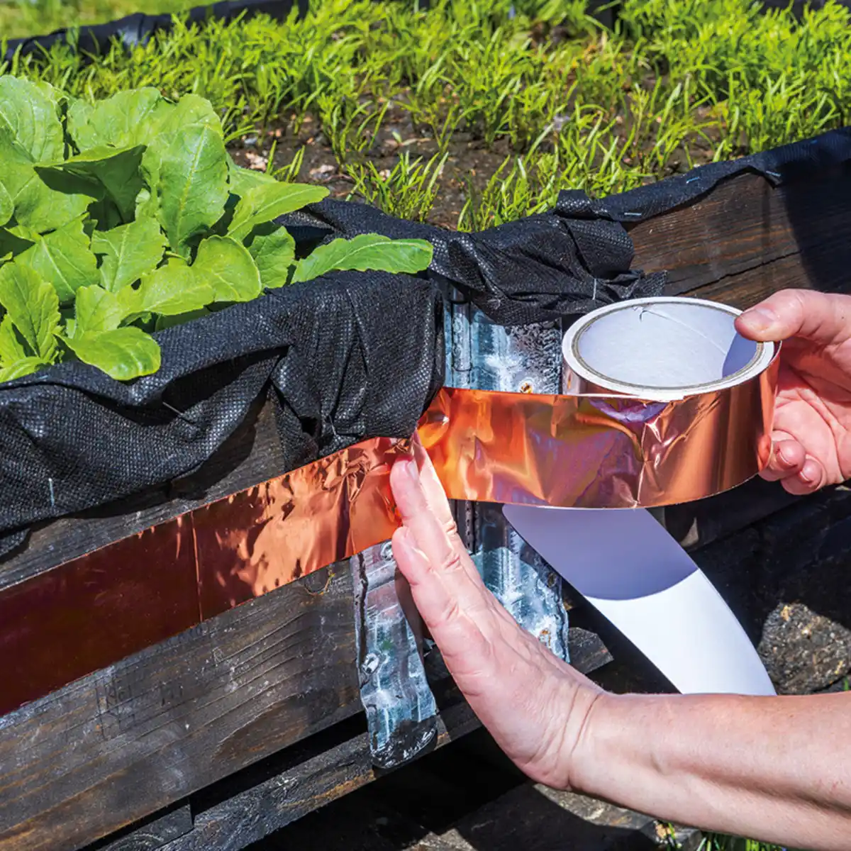 Bild 1 von Powertec Garden Kupfernetz /-band