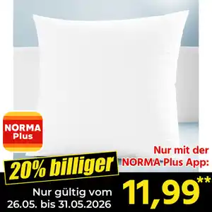 Ortho-Vital Kopfkissen "Daunen-Traum"