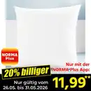 Bild 1 von Ortho-Vital Kopfkissen "Daunen-Traum"