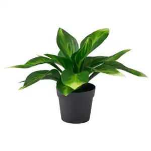 FEJKA Topfpflanze, künstlich, drinnen/draußen/Funkie, 9 cm