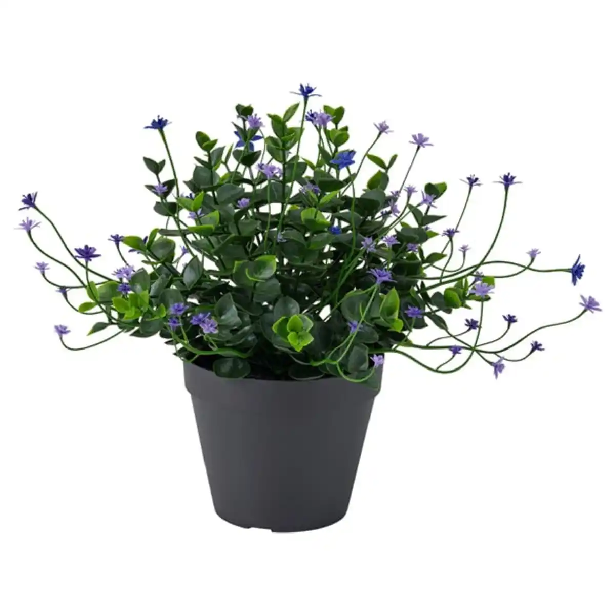 Bild 1 von FEJKA Topfpflanze, künstlich, drinnen/draußen/blühend lila, 12 cm