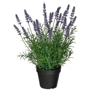 FEJKA Topfpflanze, künstlich, drinnen/draußen/Lavendel lila, 12 cm