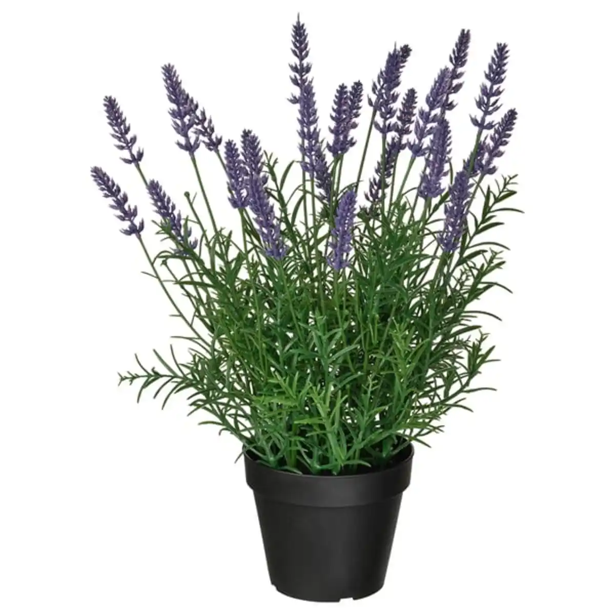 Bild 1 von FEJKA Topfpflanze, künstlich, drinnen/draußen/Lavendel lila, 12 cm